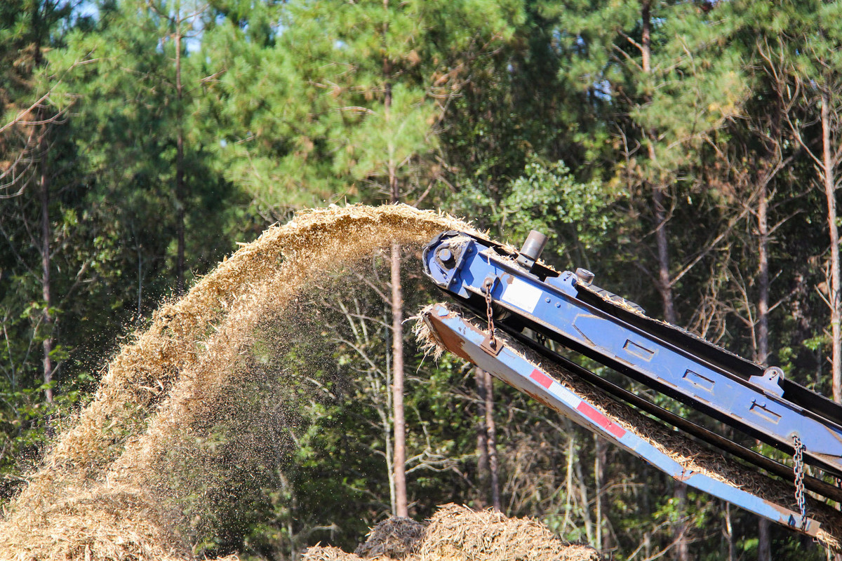 Land Clearing project photo 3